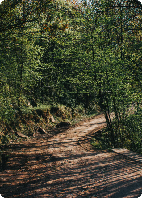 Nature bridge